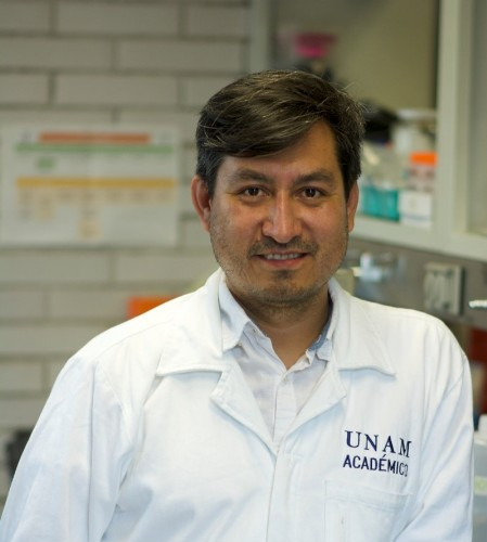 Dr. Armando Hernández