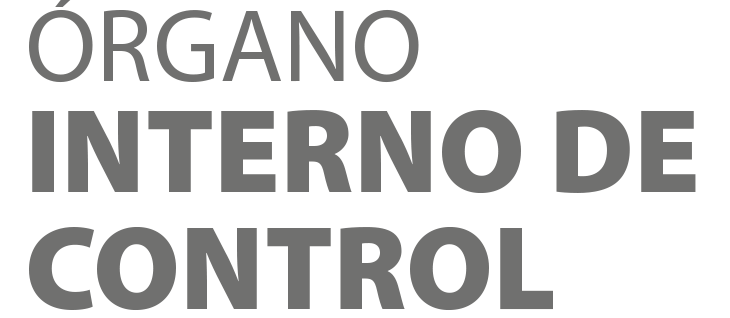 organo de gobierno