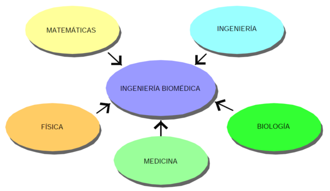 Estructura Carrera de Ingeniería Biomedica