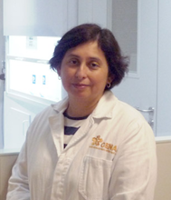 Dra. Norma González